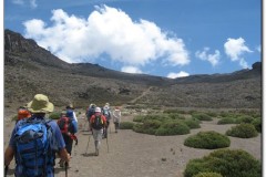 Kilimanjaro0027