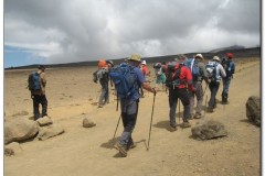 Kilimanjaro0032
