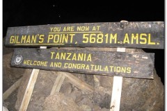 Kilimanjaro0036