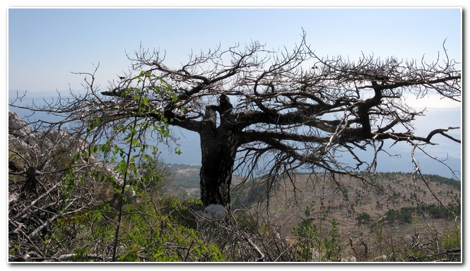 Pano_MG17