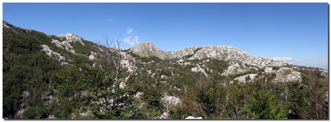 Lok Pano1